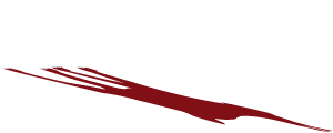 lumenluchs.de